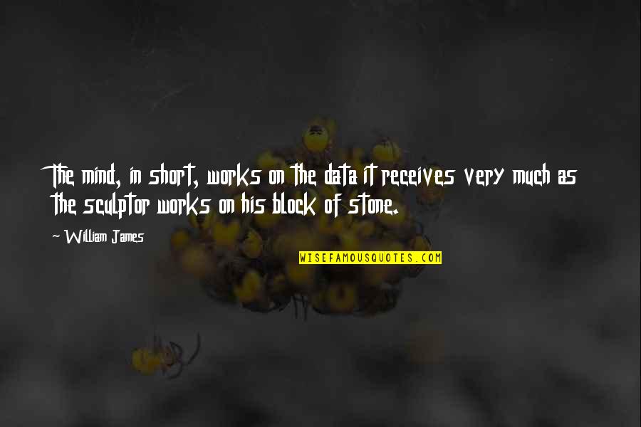 James Stone Quotes By William James: The mind, in short, works on the data