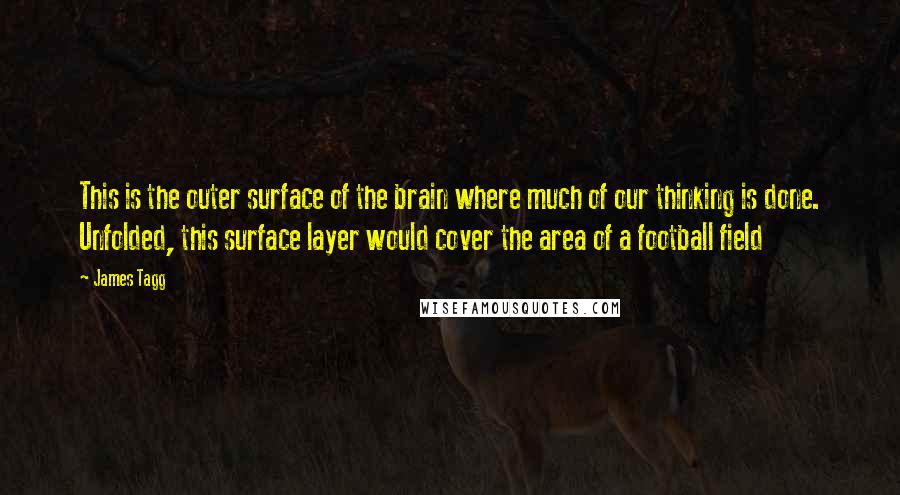 James Tagg quotes: This is the outer surface of the brain where much of our thinking is done. Unfolded, this surface layer would cover the area of a football field