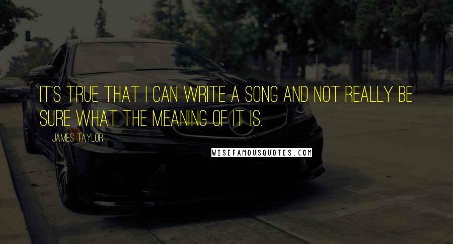 James Taylor quotes: It's true that I can write a song and not really be sure what the meaning of it is.