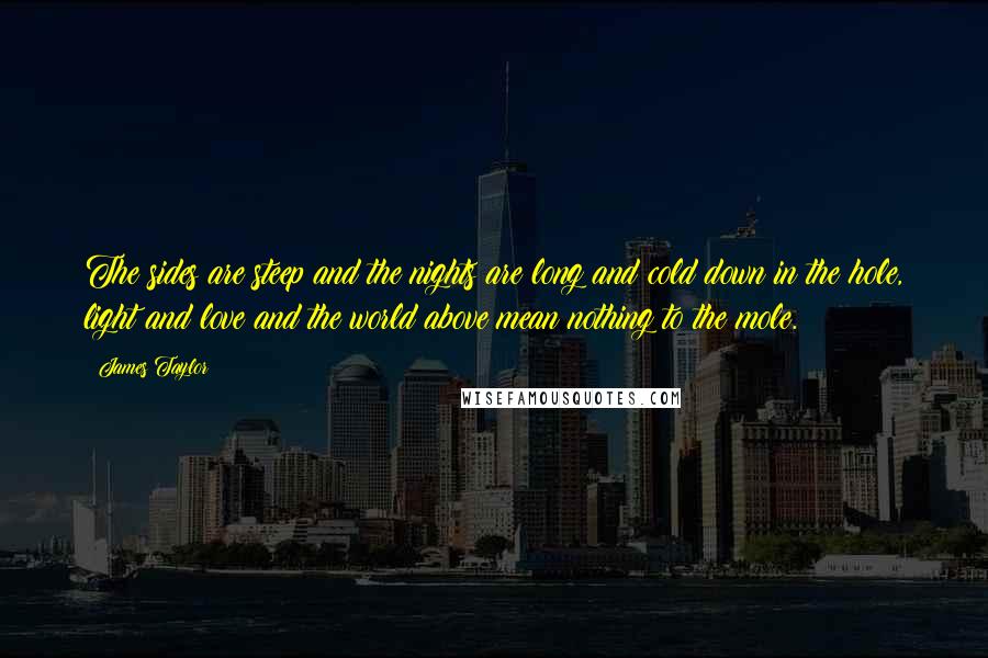 James Taylor quotes: The sides are steep and the nights are long and cold down in the hole, light and love and the world above mean nothing to the mole.