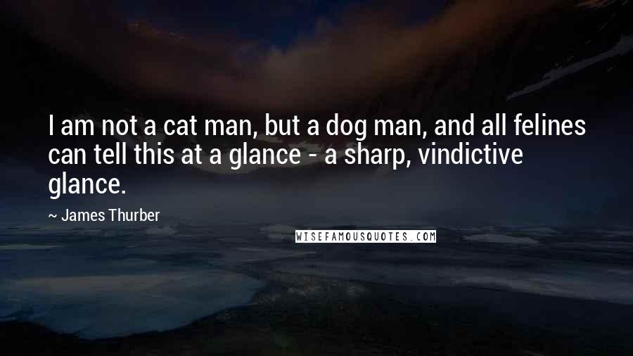 James Thurber quotes: I am not a cat man, but a dog man, and all felines can tell this at a glance - a sharp, vindictive glance.