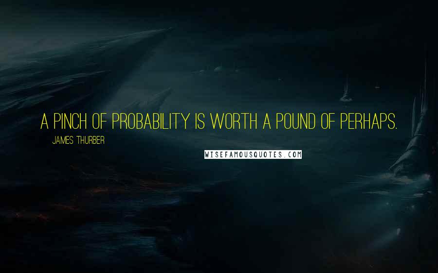 James Thurber quotes: A pinch of probability is worth a pound of perhaps.