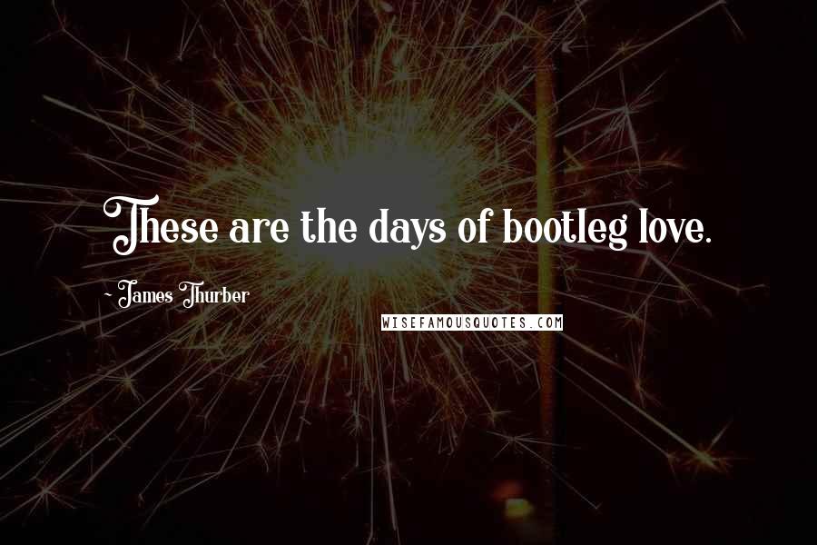 James Thurber quotes: These are the days of bootleg love.