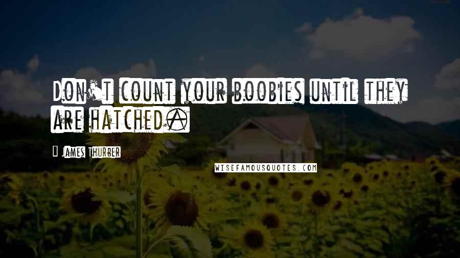 James Thurber quotes: Don't count your boobies until they are hatched.