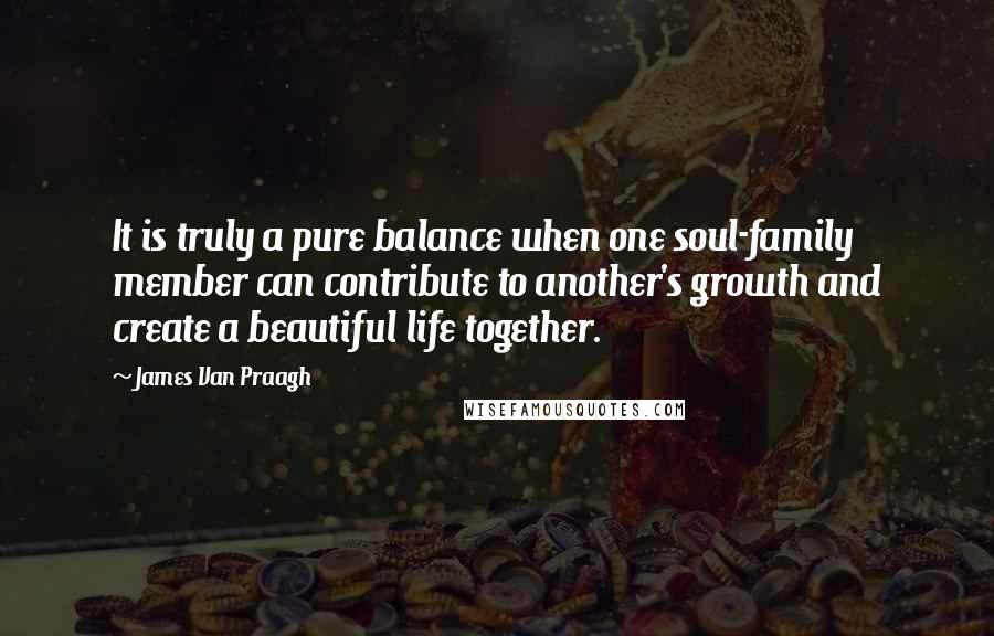 James Van Praagh quotes: It is truly a pure balance when one soul-family member can contribute to another's growth and create a beautiful life together.