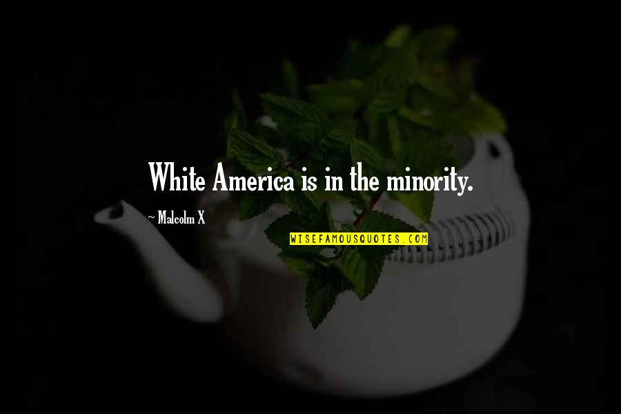 James Vincent Mcmorrow Lyric Quotes By Malcolm X: White America is in the minority.