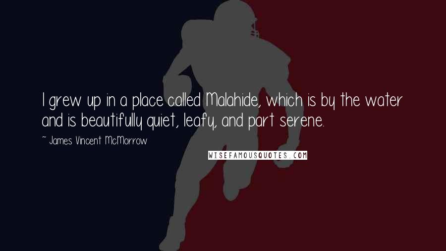 James Vincent McMorrow quotes: I grew up in a place called Malahide, which is by the water and is beautifully quiet, leafy, and part serene.