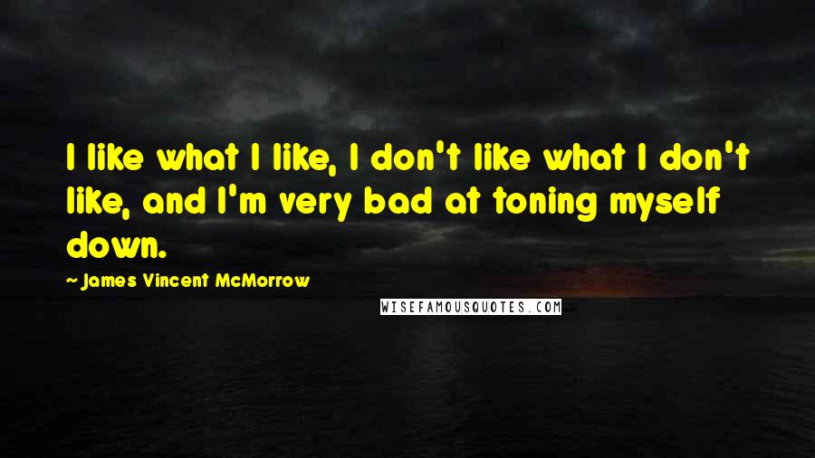 James Vincent McMorrow quotes: I like what I like, I don't like what I don't like, and I'm very bad at toning myself down.