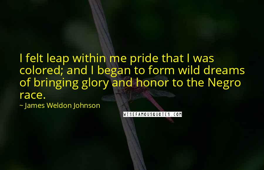 James Weldon Johnson quotes: I felt leap within me pride that I was colored; and I began to form wild dreams of bringing glory and honor to the Negro race.