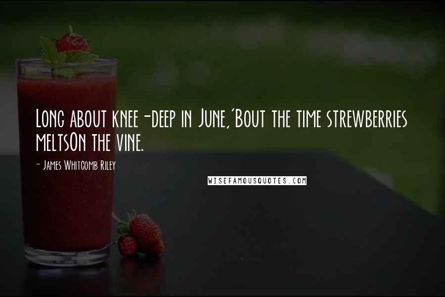 James Whitcomb Riley quotes: Long about knee-deep in June,'Bout the time strewberries meltsOn the vine.