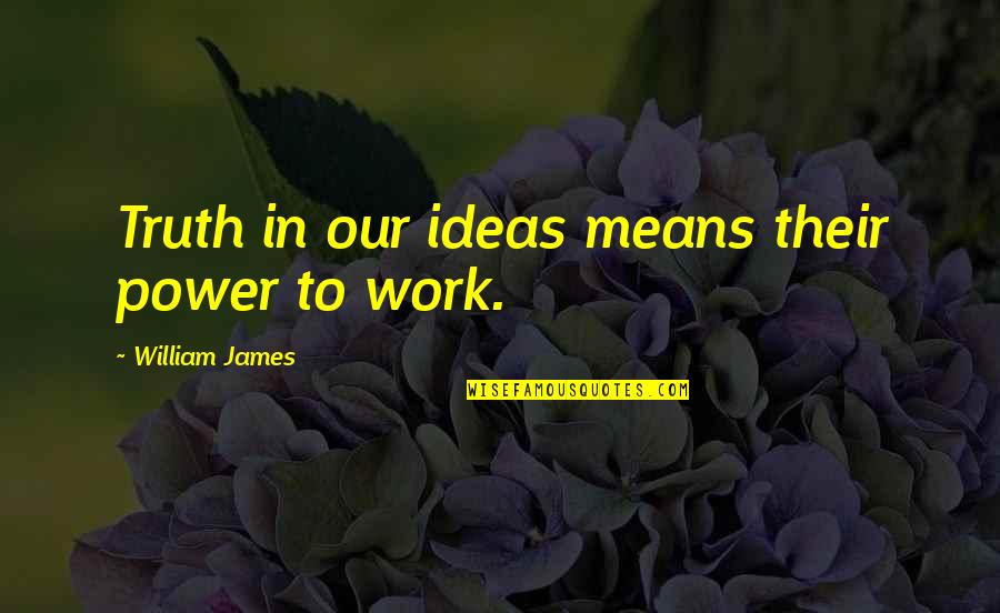 James William Quotes By William James: Truth in our ideas means their power to