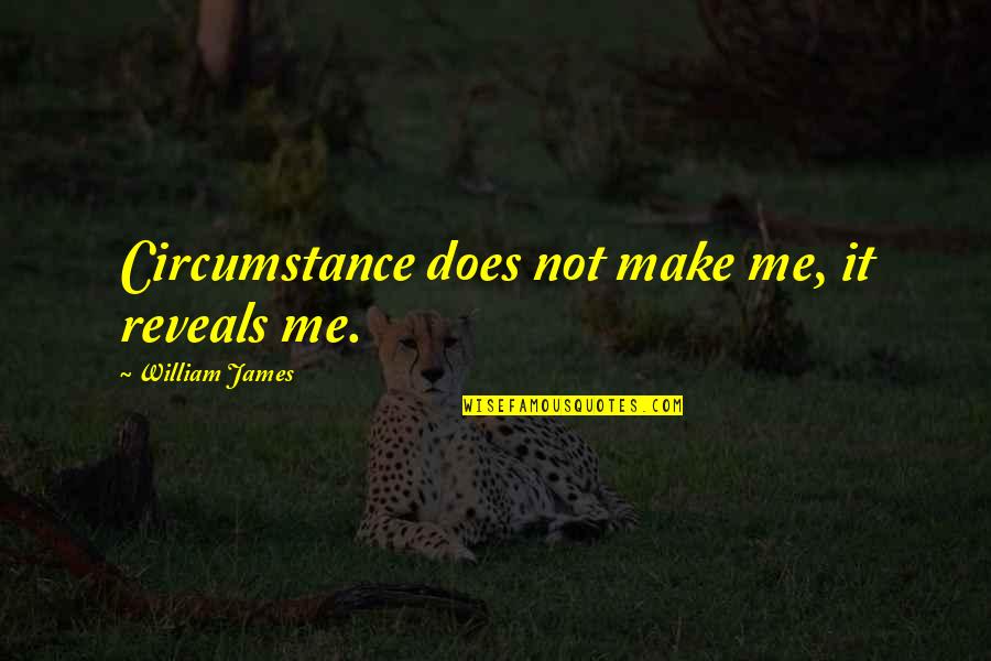 James William Quotes By William James: Circumstance does not make me, it reveals me.