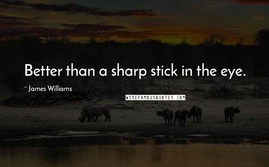 James Williams quotes: Better than a sharp stick in the eye.