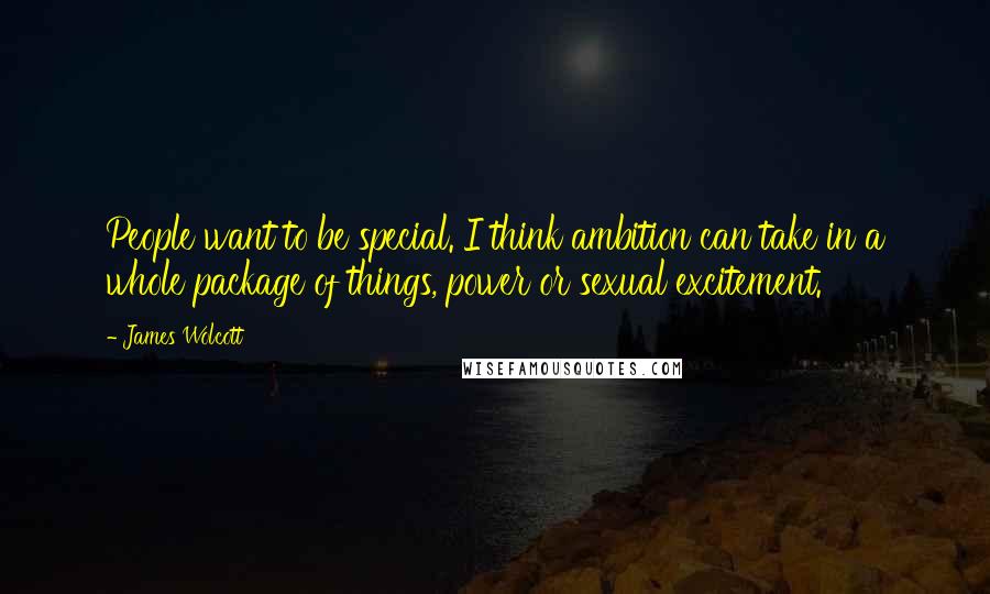 James Wolcott quotes: People want to be special. I think ambition can take in a whole package of things, power or sexual excitement.
