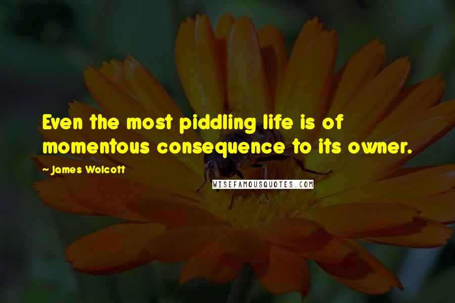 James Wolcott quotes: Even the most piddling life is of momentous consequence to its owner.