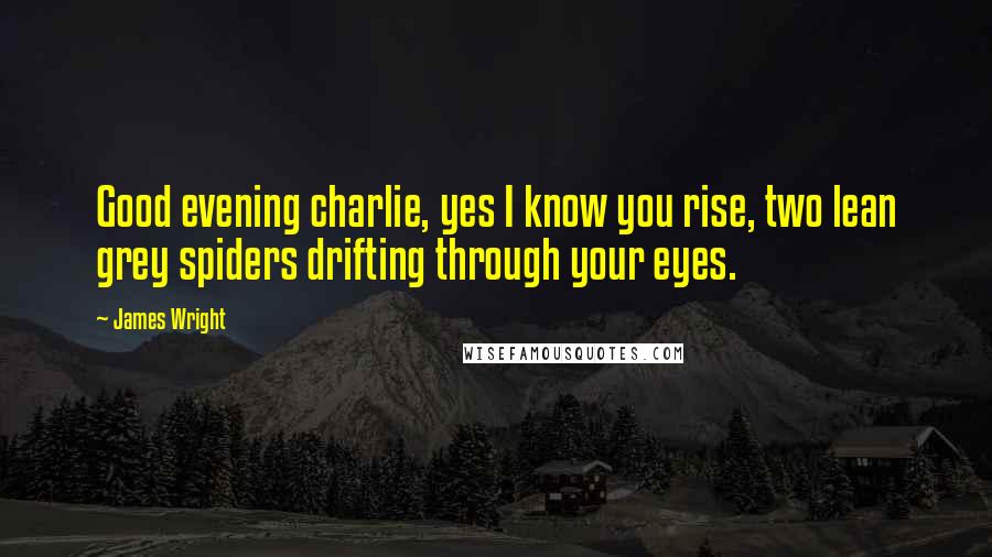 James Wright quotes: Good evening charlie, yes I know you rise, two lean grey spiders drifting through your eyes.