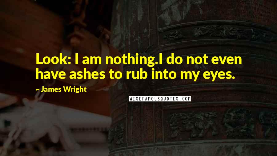 James Wright quotes: Look: I am nothing.I do not even have ashes to rub into my eyes.