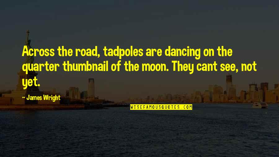 James Wright Quotes By James Wright: Across the road, tadpoles are dancing on the