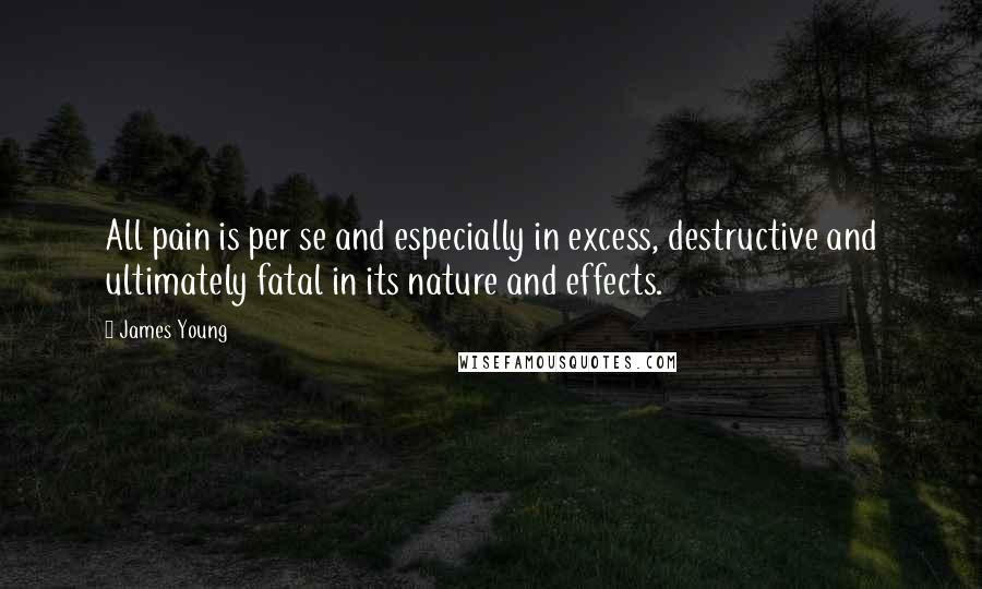 James Young quotes: All pain is per se and especially in excess, destructive and ultimately fatal in its nature and effects.