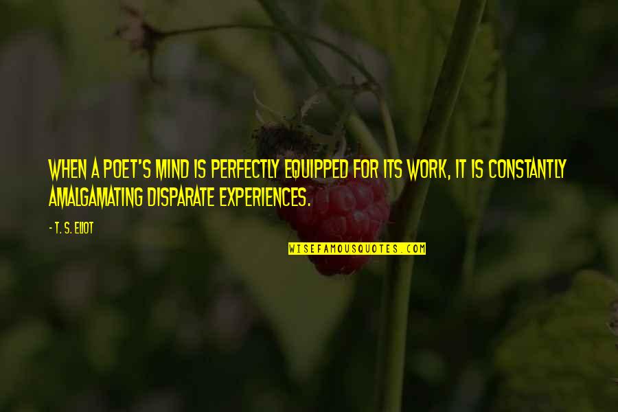 Jamet Adalah Quotes By T. S. Eliot: When a poet's mind is perfectly equipped for