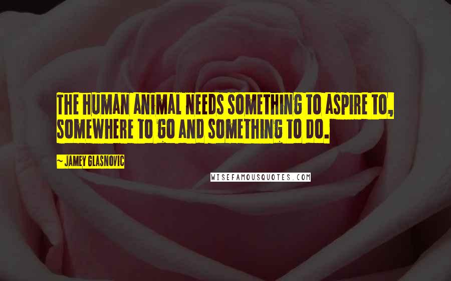 Jamey Glasnovic quotes: The human animal needs something to aspire to, somewhere to go and something to do.