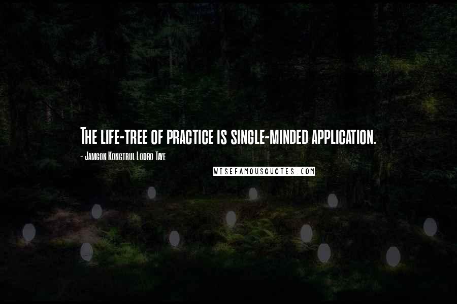 Jamgon Kongtrul Lodro Taye quotes: The life-tree of practice is single-minded application.