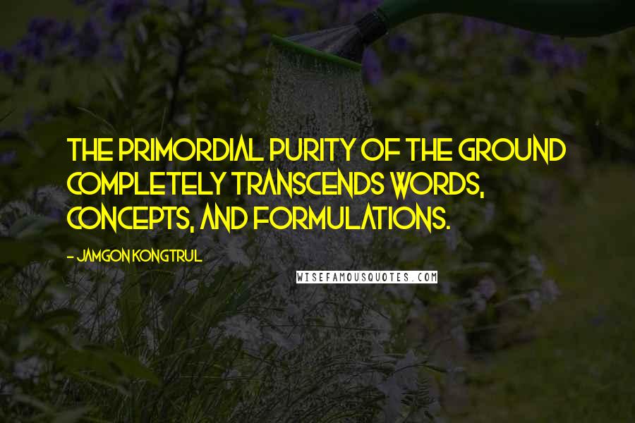 Jamgon Kongtrul quotes: The primordial purity of the ground completely transcends words, concepts, and formulations.