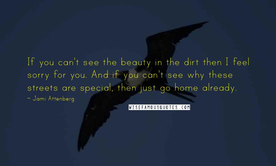 Jami Attenberg quotes: If you can't see the beauty in the dirt then I feel sorry for you. And if you can't see why these streets are special, then just go home already.