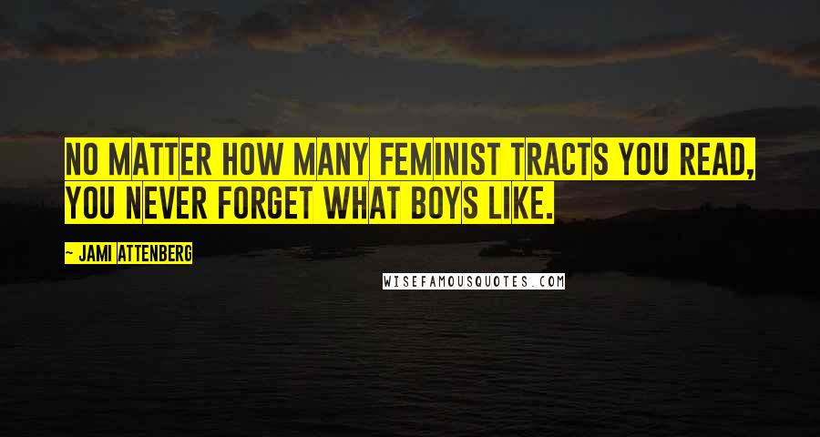 Jami Attenberg quotes: No matter how many feminist tracts you read, you never forget what boys like.