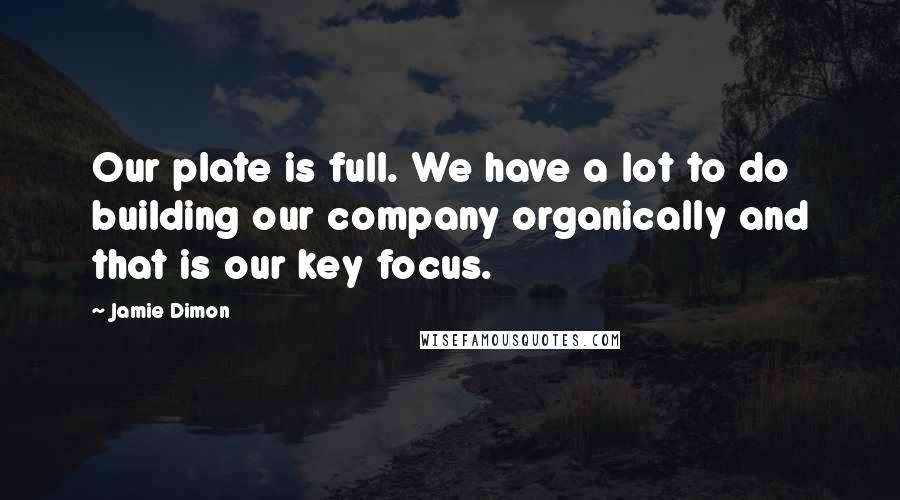 Jamie Dimon quotes: Our plate is full. We have a lot to do building our company organically and that is our key focus.