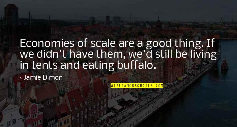 Jamie Dimon Quotes By Jamie Dimon: Economies of scale are a good thing. If