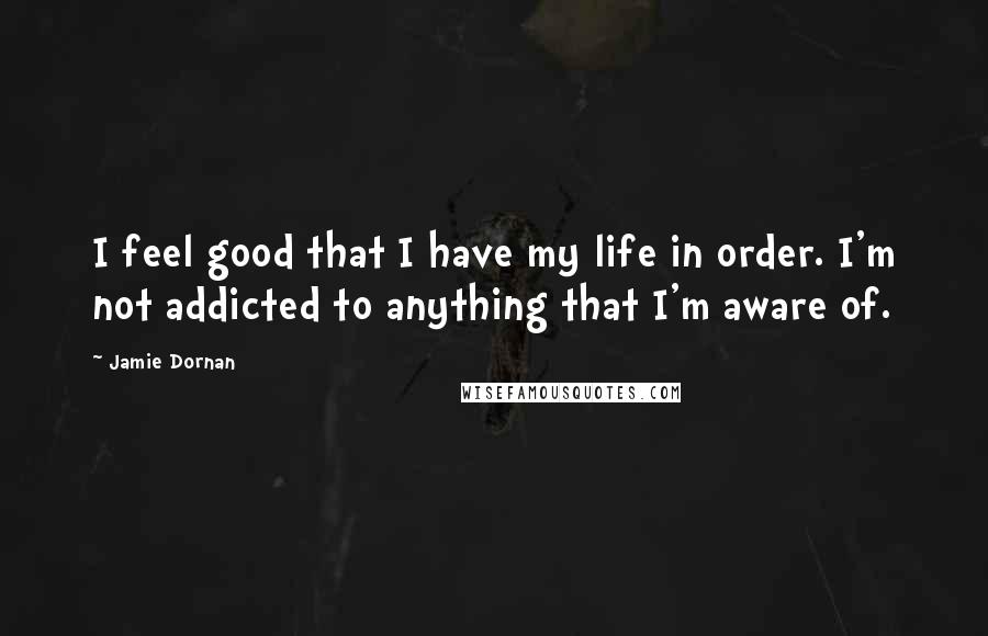 Jamie Dornan quotes: I feel good that I have my life in order. I'm not addicted to anything that I'm aware of.