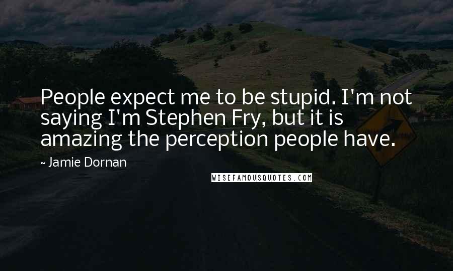 Jamie Dornan quotes: People expect me to be stupid. I'm not saying I'm Stephen Fry, but it is amazing the perception people have.