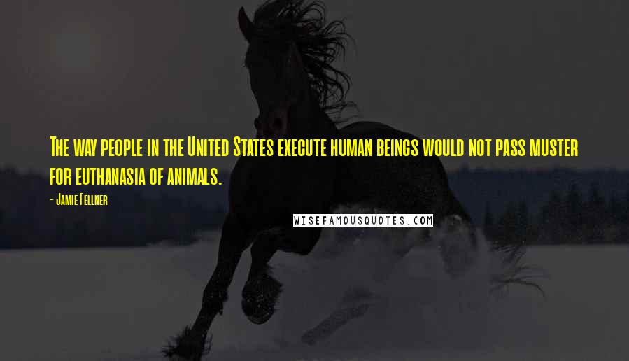 Jamie Fellner quotes: The way people in the United States execute human beings would not pass muster for euthanasia of animals.