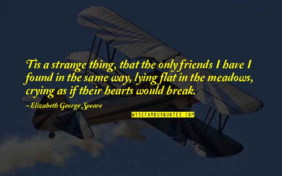 Jamie Heaslip Quotes By Elizabeth George Speare: Tis a strange thing, that the only friends