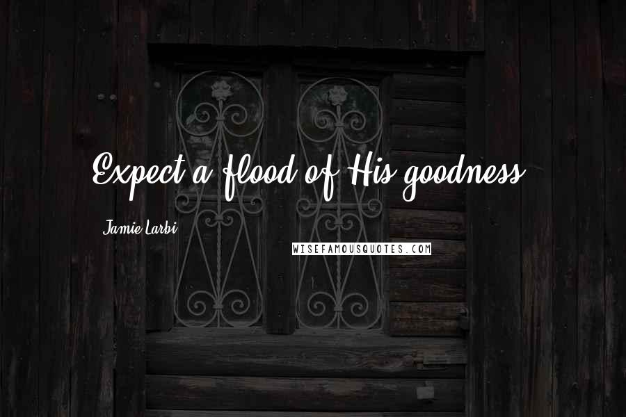 Jamie Larbi quotes: Expect a flood of His goodness!