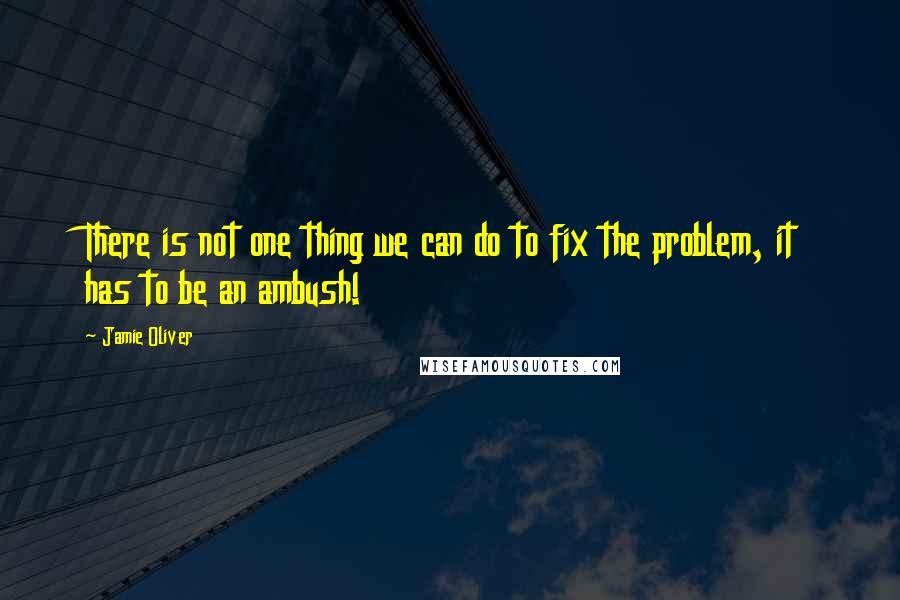 Jamie Oliver quotes: There is not one thing we can do to fix the problem, it has to be an ambush!