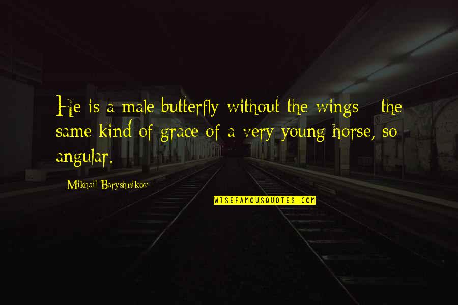 Jamie Stryder Quotes By Mikhail Baryshnikov: He is a male butterfly without the wings