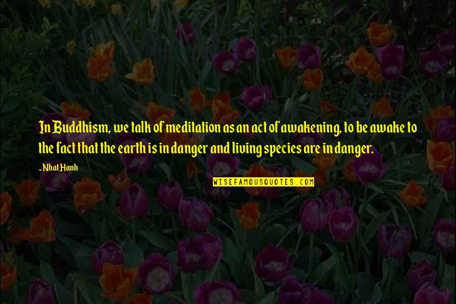 Jamileth Quotes By Nhat Hanh: In Buddhism, we talk of meditation as an Jamileth Quotes By Nhat Hanh: In Buddhism, we talk of meditation as an