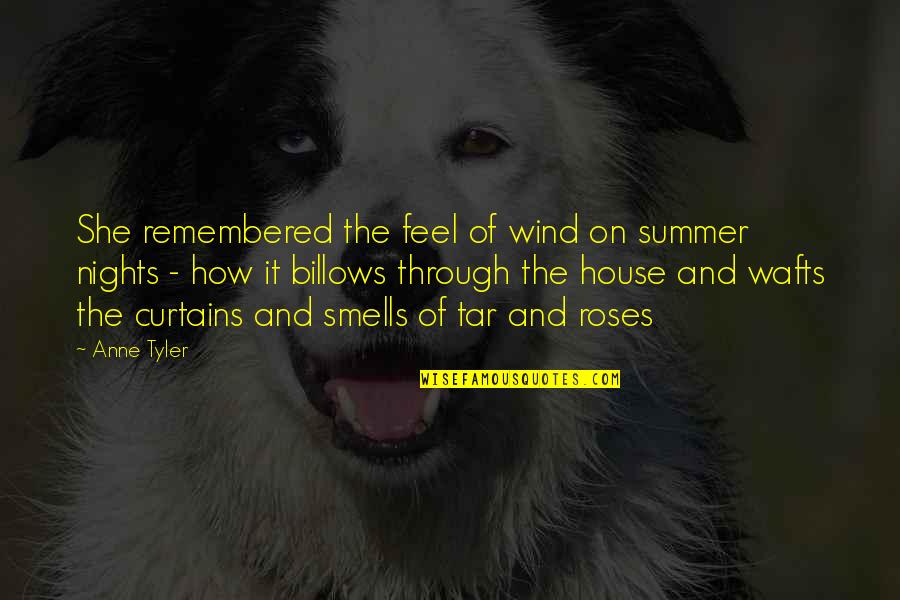 Jamina Jameel Quotes By Anne Tyler: She remembered the feel of wind on summer Jamina Jameel Quotes By Anne Tyler: She remembered the feel of wind on summer