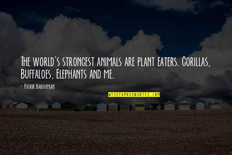 Jan 23 Quotes By Patrik Baboumian: The world's strongest animals are plant eaters. Gorillas,