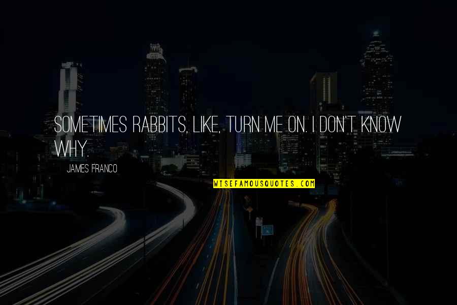 Jan Boskamp Quotes By James Franco: Sometimes rabbits, like, turn me on. I don't Jan Boskamp Quotes By James Franco: Sometimes rabbits, like, turn me on. I don't