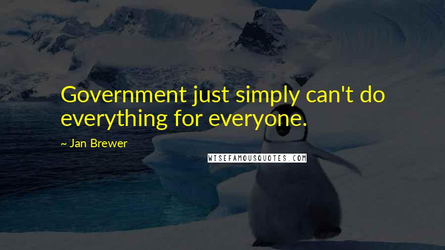 Jan Brewer quotes: Government just simply can't do everything for everyone.