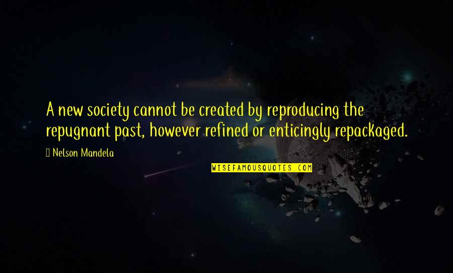 Jan Kaplicky Quotes By Nelson Mandela: A new society cannot be created by reproducing