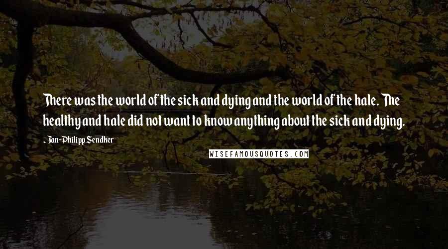 Jan-Philipp Sendker quotes: There was the world of the sick and dying and the world of the hale. The healthy and hale did not want to know anything about the sick and dying.