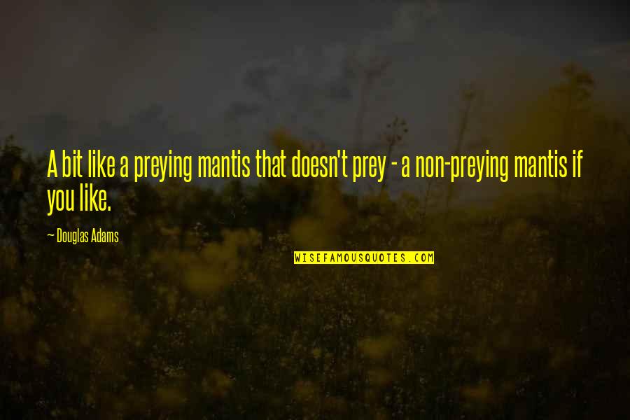 Jan Van Eyck Famous Quotes By Douglas Adams: A bit like a preying mantis that doesn't