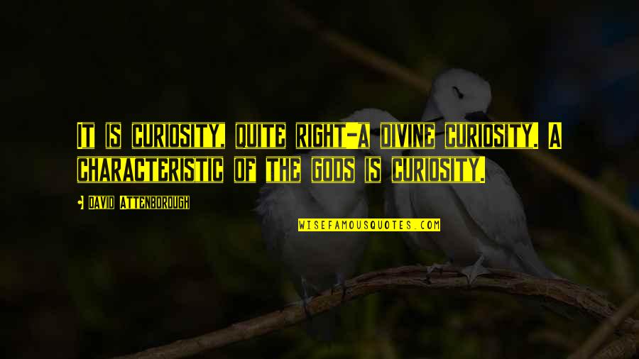 Jan Van Helsing Quotes By David Attenborough: It is curiosity, quite right-a divine curiosity. A