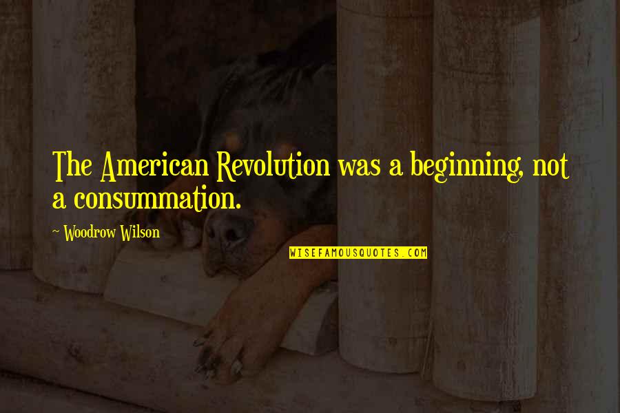 Jana Stanfield Quotes By Woodrow Wilson: The American Revolution was a beginning, not a