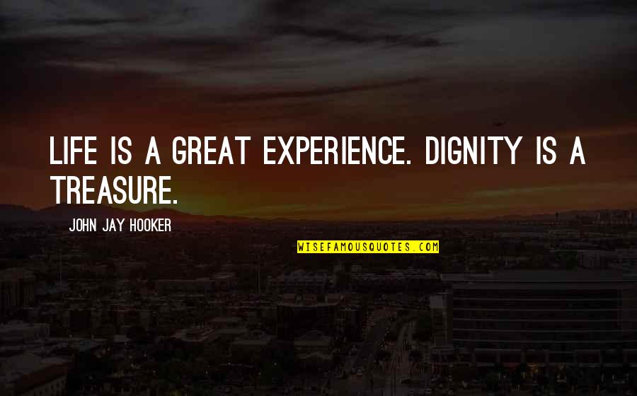 Janan Quotes By John Jay Hooker: Life is a great experience. Dignity is a
