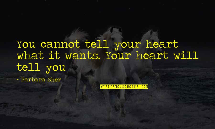 Jandia Princess Quotes By Barbara Sher: You cannot tell your heart what it wants.